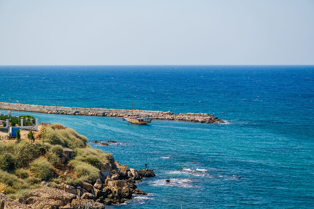 4 olivia palm rooftop view