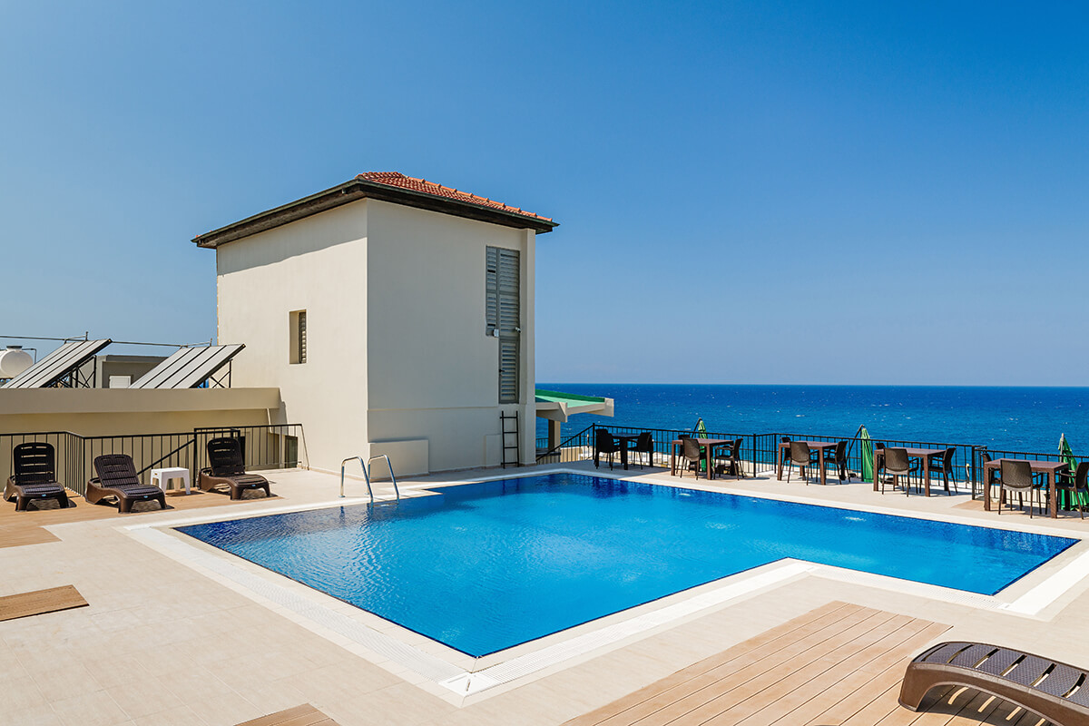 6 olivia palm hotel pool