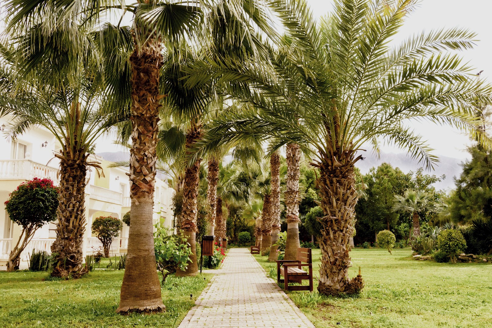 mountain view hotel north cyprus