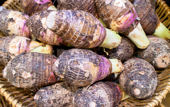 kolokas taro from cyprus