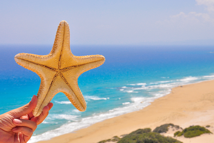 Golden Sandy Beach, Karpaz