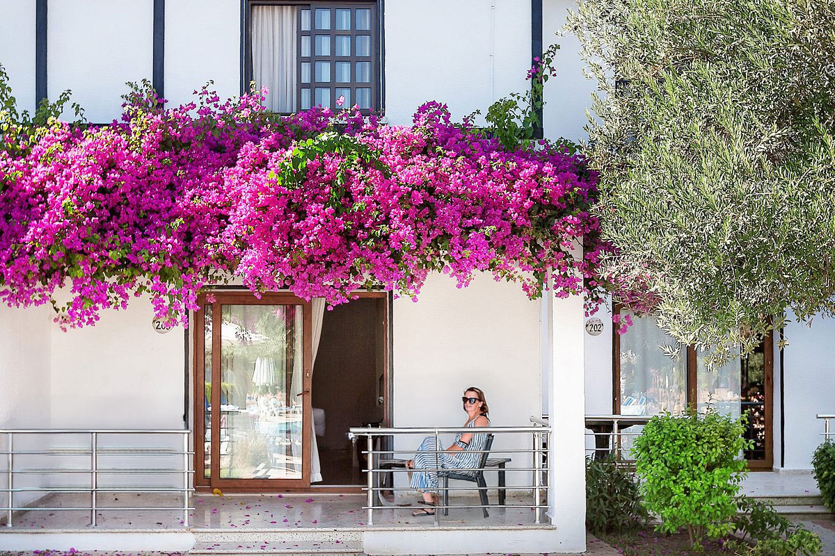 ship inn hotel terrace sitting