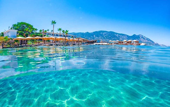 mediterranean-sea-turtle-cyprus