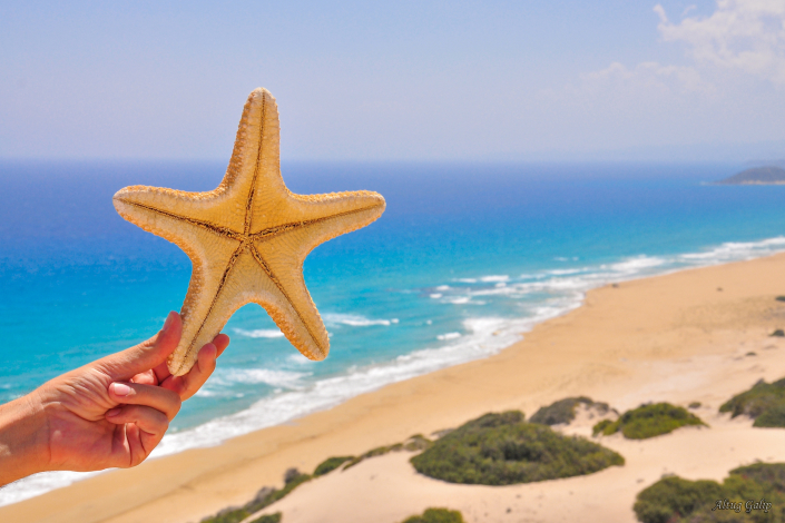 Golden Sandy Beach, North Cyprus