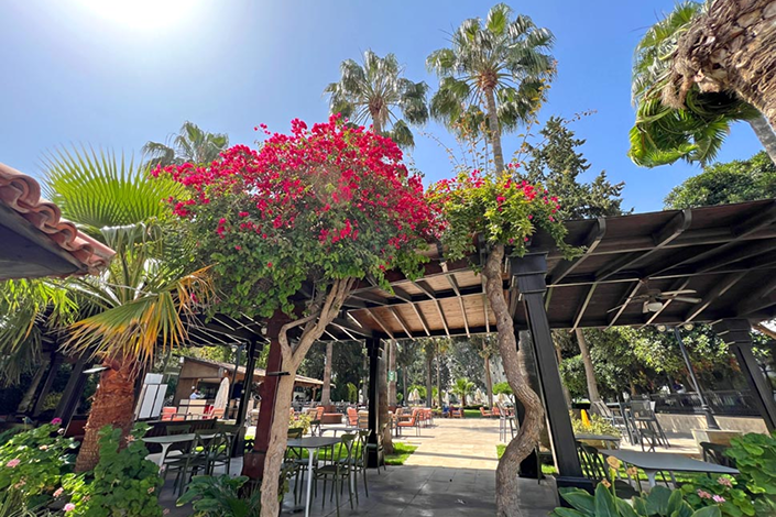 Outdoor Dining at Pia Bella Hotel