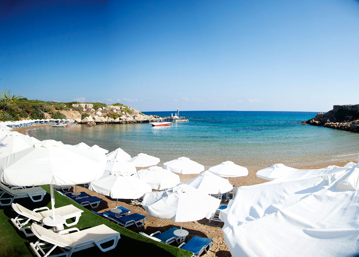 Make Friends with the Fish!