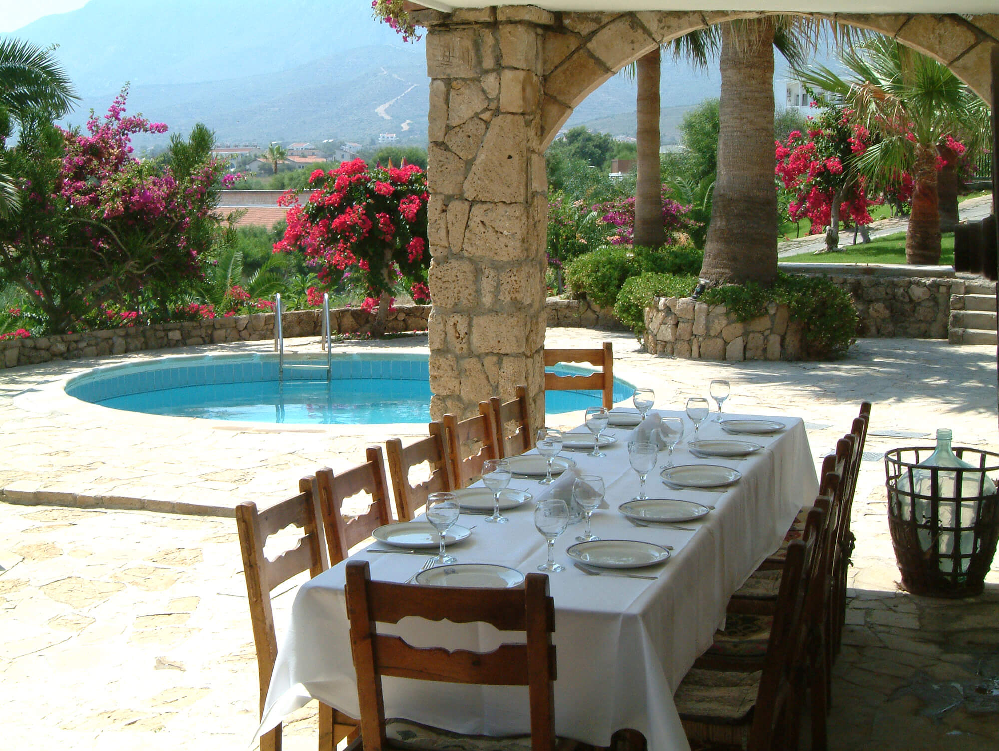 A Taste of the Tropics!