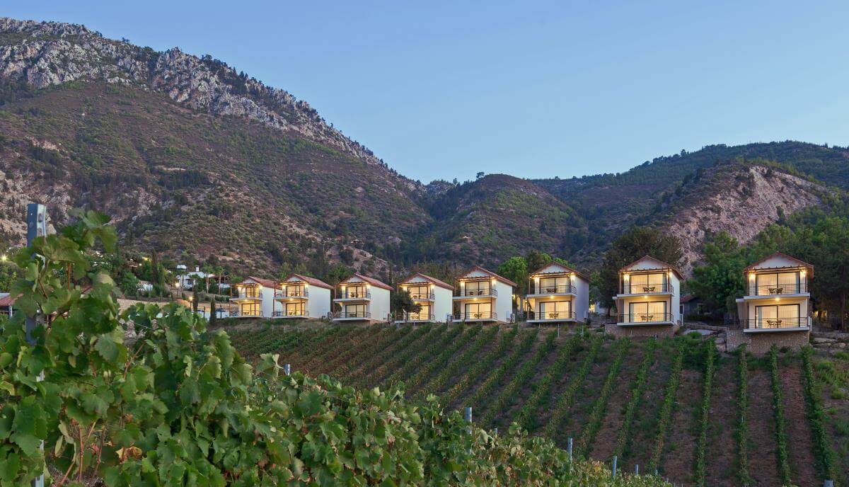 gillham vineyard hotel general view