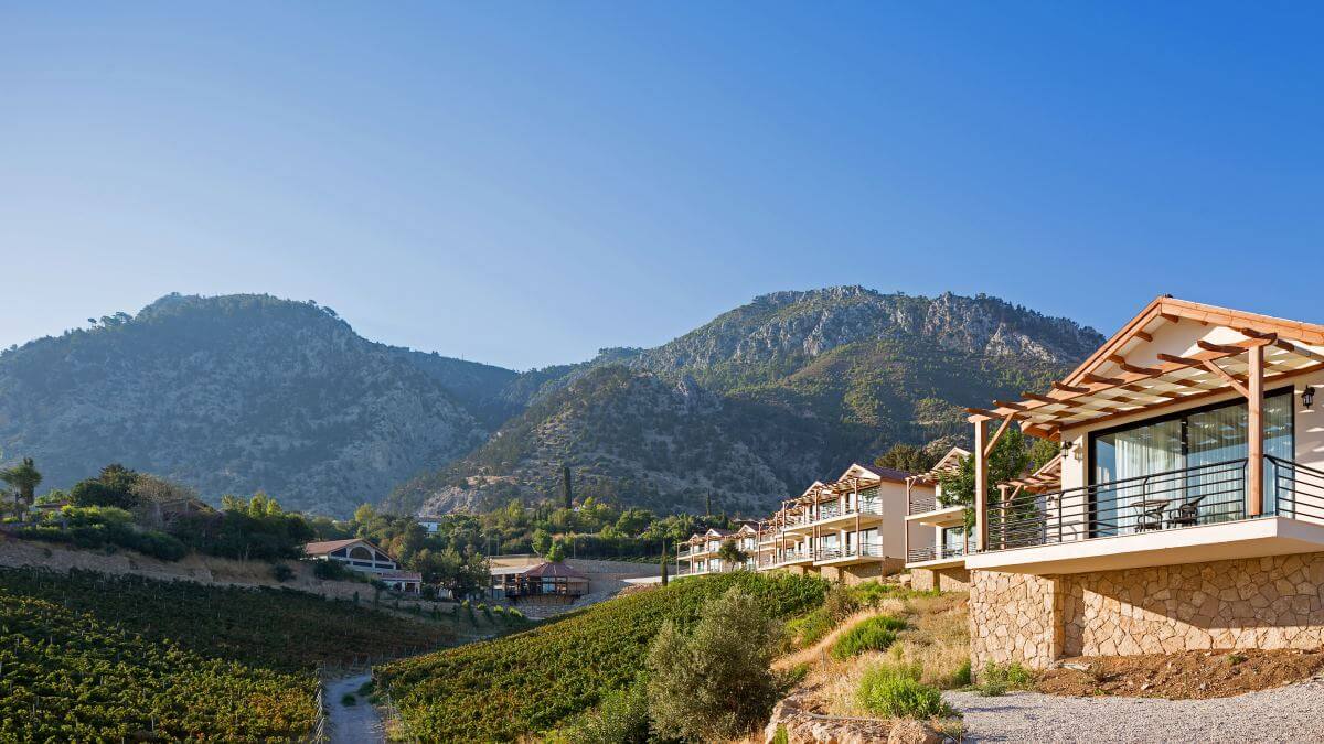 gillham vineyard hotel general